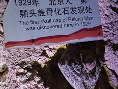 -周口店北京人遗址公园