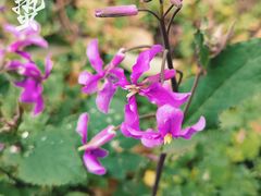 -苏州河梦清园环保主题公园