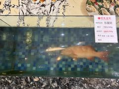 -宝燕壹号(徐汇店)
