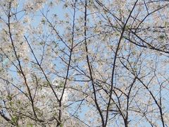 -西北湖绿化广场