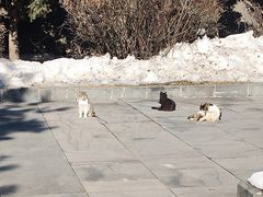 -六鼎山文化旅游区