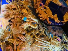 -蟹道乐(道顿堀本店)