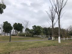 -海宁鹃湖公园