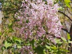 -大兴滨河森林公园