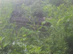 白马涧龙池风景区-白马涧龙池景区