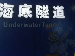 -重庆欢乐海底世界