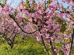 -西区老大房(愚园路店)