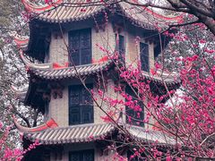 -成都杜甫草堂博物馆