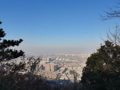 -惠山国家森林公园