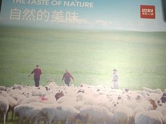 -巴奴毛肚火锅(相州店)