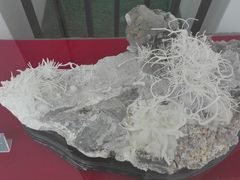 -房山世界地质公园博物馆