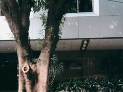 -南越王博物院(王宫展区)