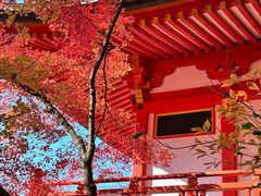 -醍醐寺