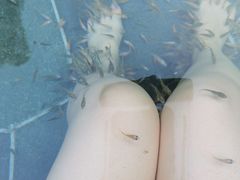 -苏州湾·王焰温泉