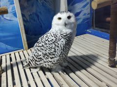 -成都浩海立方海洋公园