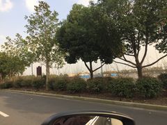 -迪士尼乐园停车场