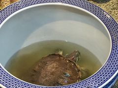 -双季花艺园艺市场(浦东店)