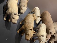 -北京大葆台遗址博物馆