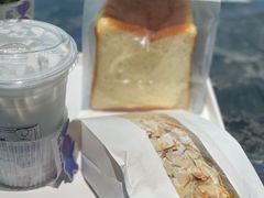 -TD66高山铁皮石斛养生茶饮
