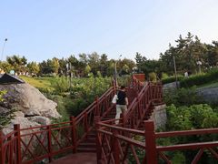 -养马岛旅游度假区