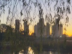 -前关湿地公园