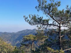 -午潮山国家森林公园