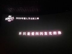 -金逸影城(武汉人信汇IMAX店)