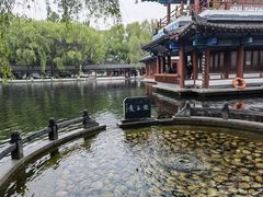 -百脉泉景区