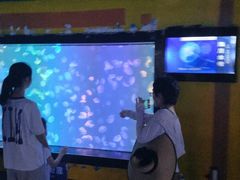 -烟台海昌鲸鲨海洋公园