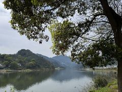 -新安江山水画廊风景区