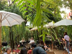 -Fern Forest Cafe