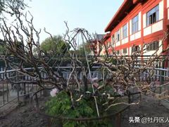 -曹州百花园