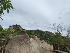 -大岭沟猕猴桃谷风景区