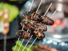 烤蝉蛹-丹东丛炟海鲜烧烤(江艺路店)