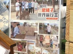 -鹿境梅花鹿生态园区