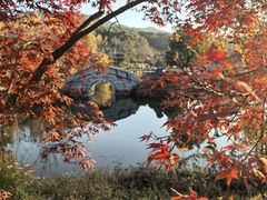 -白马涧龙池景区
