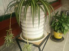 -三品尚院(贝勒府旧址店)