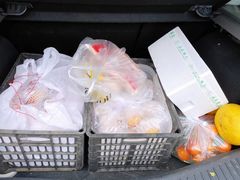 -双福水果批发市场