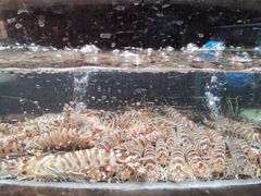 -顺风山庄(水濂山店)