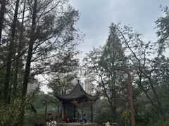 -重庆彩云湖湿地公园