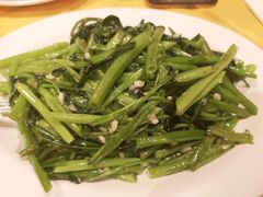 -文兴酒家(Chinatown - Gerrard Street)