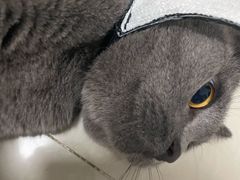 -H立方实景剧情密室(天河旗舰店)