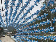 -金石滩蓝莓谷庄园