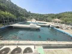 -广东惠东海龟国家级自然保护区