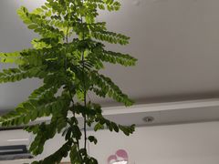 -永辉超市(通州万达店)