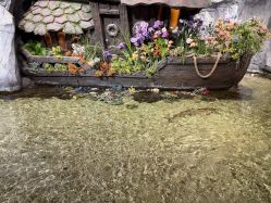 -Zoolung Zoolung动物主题公园(海信广场店)