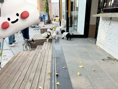 -小意思咖啡店(草桥店)