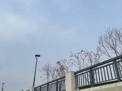 -海河外滩公园