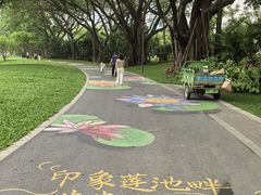 -云溪植物园