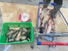 -光明食品集团有限公司